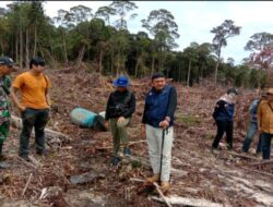 Gelar Patroli di Gunung Asuansang, BKSDA Kalbar Gagalkan Aktivitas PETI
