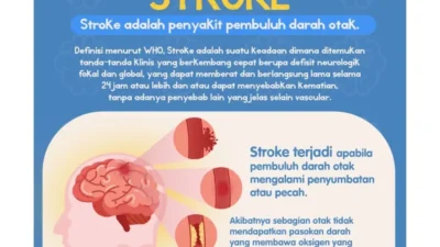 Cegah Stroke agar Tak Berulang, Ahli Gizi Sarankan Diet Sehat Seperti Ini