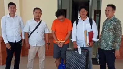 Kasus Penyelundupan Ribuan Benih Lobster di Bali Dilimpahkan ke Jaksa