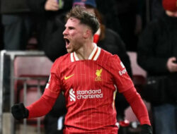 Gelandang Liverpool Allister Dihukum Akumulasi Kartu Kuning Saat Lawan Fulham