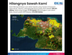 Hasil Kajian IDEAS: Lahan Sawah di Jabodetabek Raya Bakal Hilang dalam Beberapa Dekade ke Depan