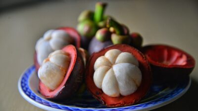 Ini Lima Manfaat Dahsyat Konsumsi Buah Manggis