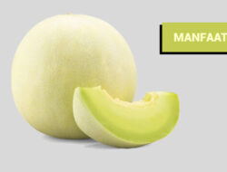 Ini Lima Manfaat Makan Melon Bagi Kesehatan Tubuh