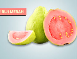 Ini Lima Manfaat Jambu Biji Merah Bagi Kesehatan